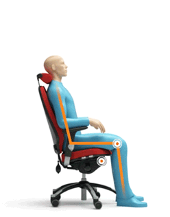 rh-MECHANIS,
