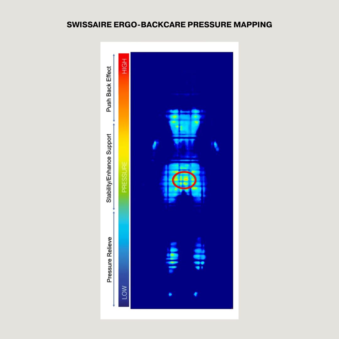 ergo-backcare mapping_2