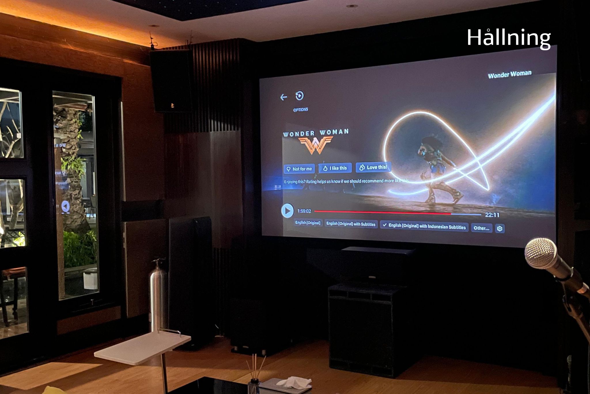 HALLNING_MR D HOMETHEATRE PROJECT_3