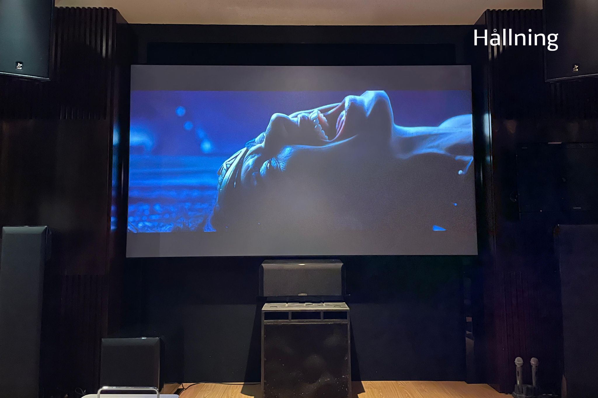HALLNING_MR D HOMETHEATRE PROJECT_5