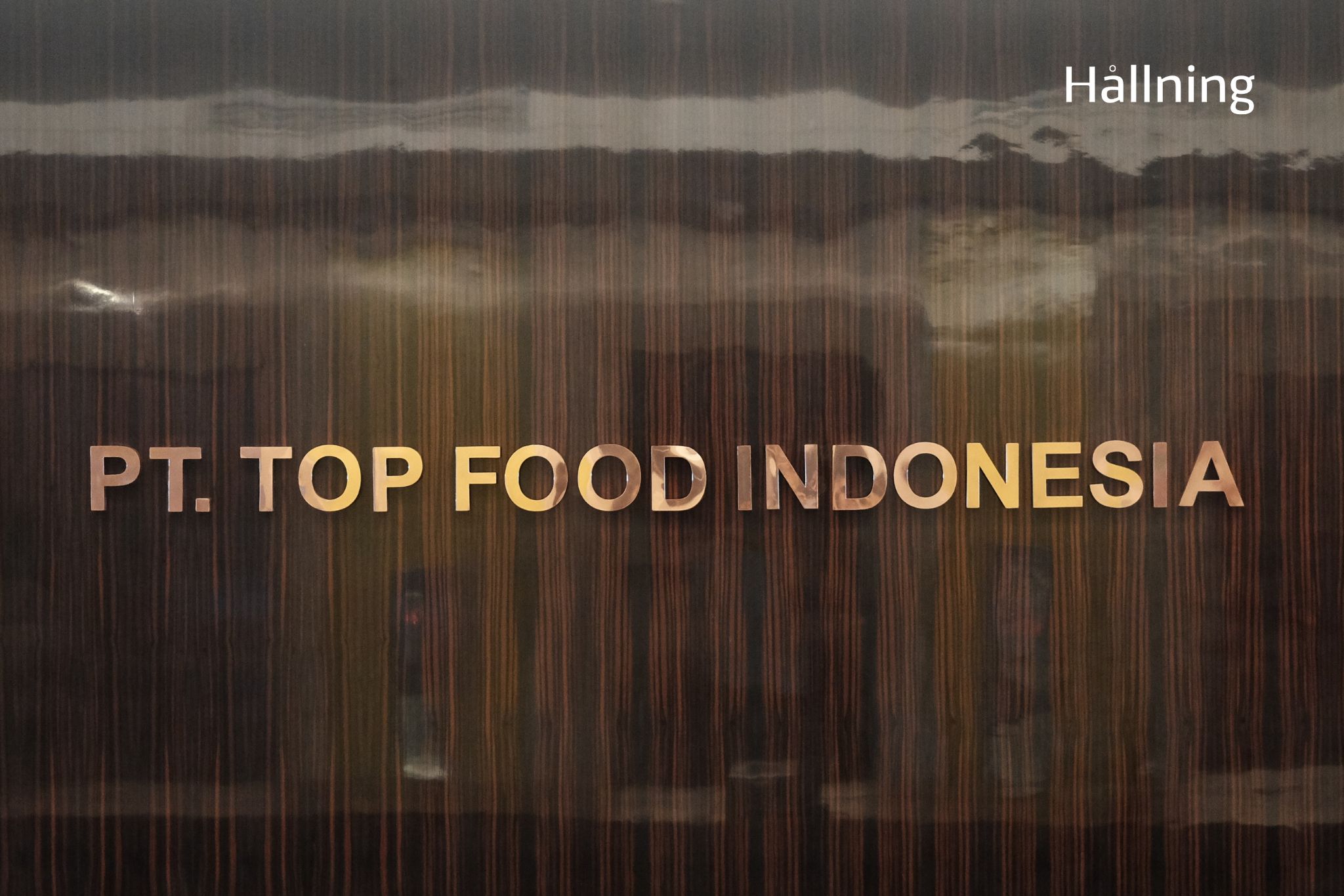 HALLNING_PT TOP FOOD INDONESIA PROJECT_1