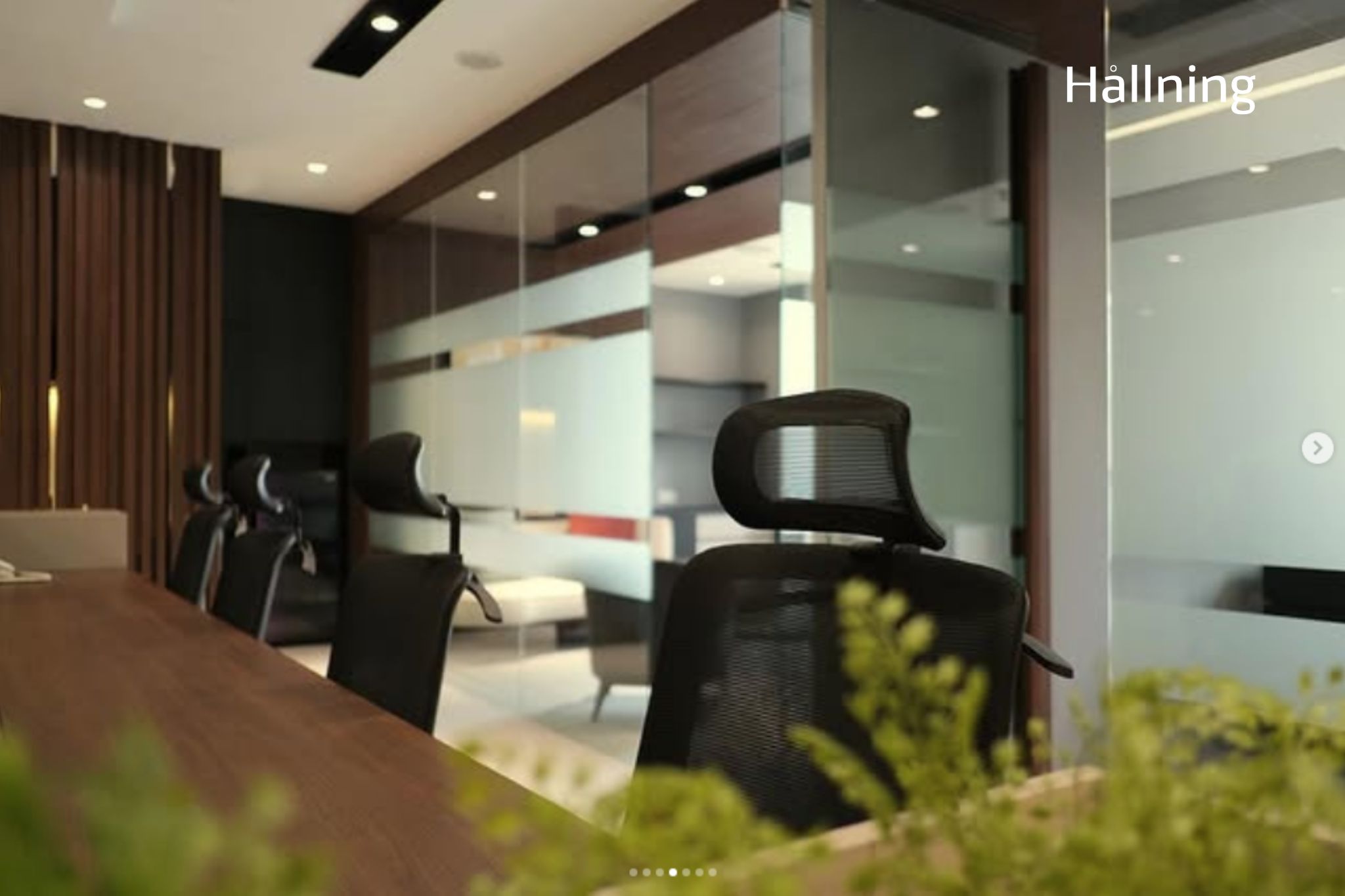 HALLNING_DISTRICT 8 OFFICE PROJECT_4