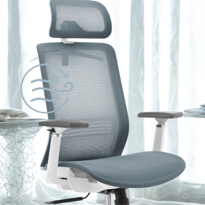 HALLNING_A450 HLS CURCULATION